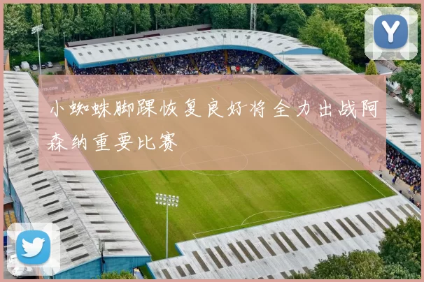 小蜘蛛脚踝恢复良好将全力出战阿森纳重要比赛