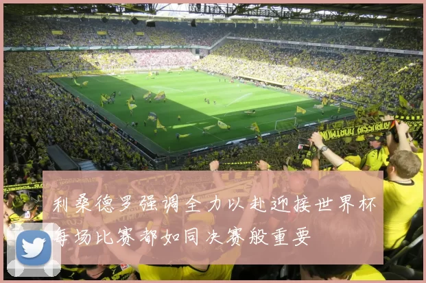 利桑德罗强调全力以赴迎接世界杯每场比赛都如同决赛般重要